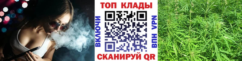 Где найти наркотики Унеча Альфа ПВП Галлюциногенные грибы ГАШ Марихуана Меф мяу мяу