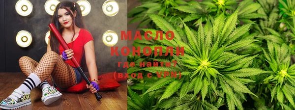 стаф Аркадак