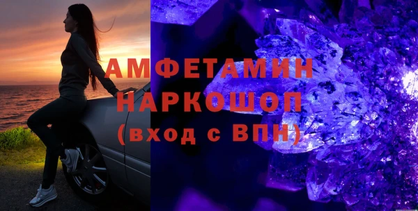 стаф Аркадак
