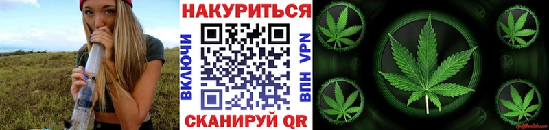 Конопля сатива  Унеча 